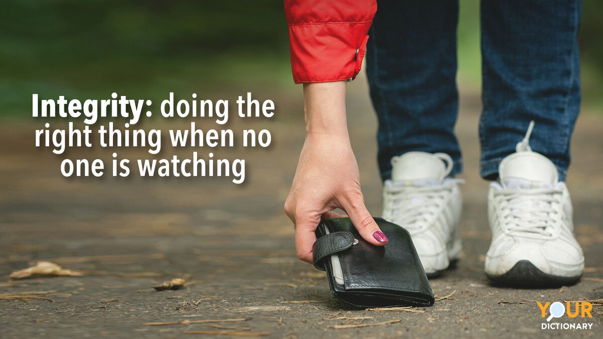 Examples of Integrity 7abbbb2796